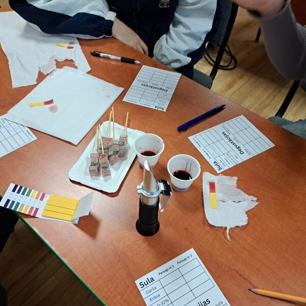 STEM nodarbība No dabas veltēm līdz produktam