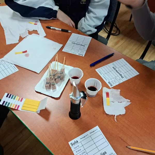 STEM nodarbība No dabas veltēm līdz produktam